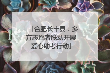 合肥长丰县：多方志愿者联动开展爱心助考行动