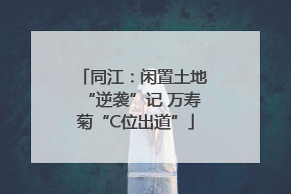 同江：闲置土地“逆袭”记 万寿菊“C位出道”