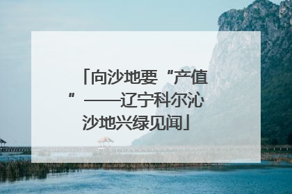 向沙地要“产值”——辽宁科尔沁沙地兴绿见闻