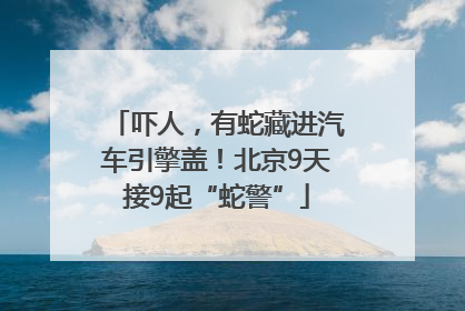 吓人，有蛇藏进汽车引擎盖！北京9天接9起“蛇警”