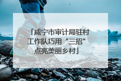 咸宁市审计局驻村工作队巧用“三招”点亮美丽乡村