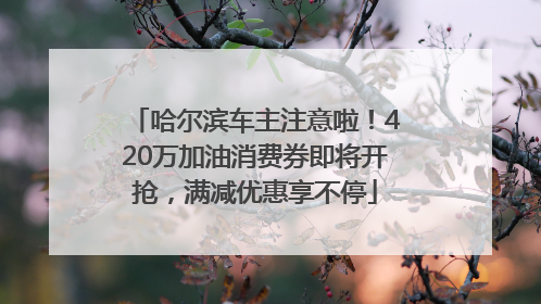 哈尔滨车主注意啦！420万加油消费券即将开抢，满减优惠享不停