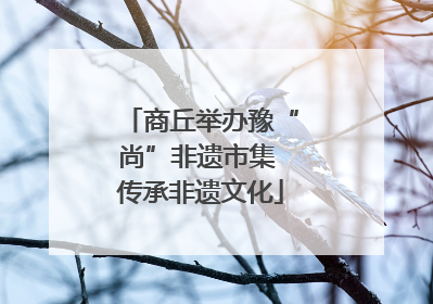 商丘举办豫“尚”非遗市集 传承非遗文化