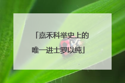 嘉禾科举史上的唯一进士罗以纯
