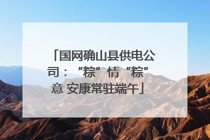 国网确山县供电公司：“粽”情“粽”意 安康常驻端午