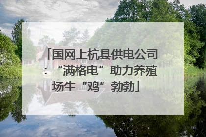 国网上杭县供电公司：“满格电”助力养殖场生“鸡”勃勃