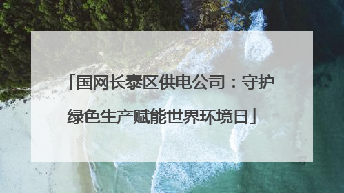 国网长泰区供电公司：守护绿色生产赋能世界环境日