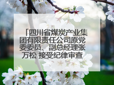 四川省煤炭产业集团有限责任公司原党委委员、副总经理张万松 接受纪律审查和监察调查