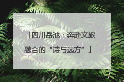 四川岳池：奔赴文旅融合的“诗与远方”