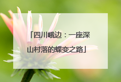 四川峨边:一座深山村落的蝶变之路