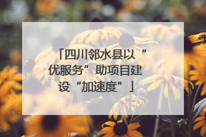 四川邻水县以“优服务”助项目建设“加速度”