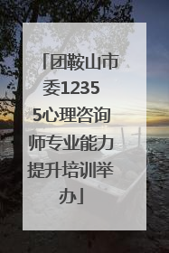 团鞍山市委12355心理咨询师专业能力提升培训举办