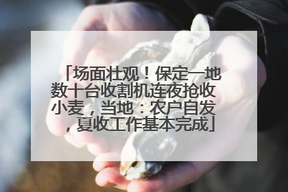 场面壮观！保定一地数十台收割机连夜抢收小麦，当地：农户自发，夏收工作基本完成