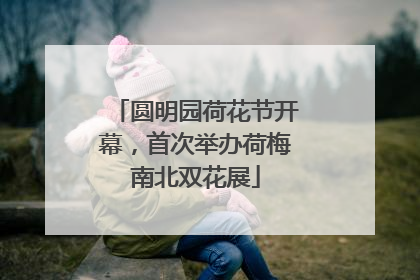 圆明园荷花节开幕，首次举办荷梅南北双花展