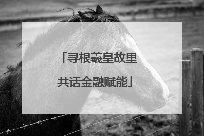 寻根羲皇故里 共话金融赋能