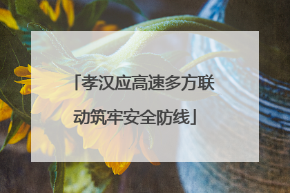 孝汉应高速多方联动筑牢安全防线