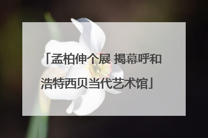 孟柏伸个展 揭幕呼和浩特西贝当代艺术馆