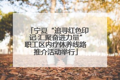 宁夏“追寻红色印记 汇聚奋进力量”职工区内疗休养线路推介活动举行