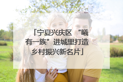 宁夏兴庆区 “曦有一族”进城里打造乡村振兴新名片