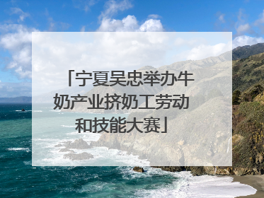 宁夏吴忠举办牛奶产业挤奶工劳动和技能大赛