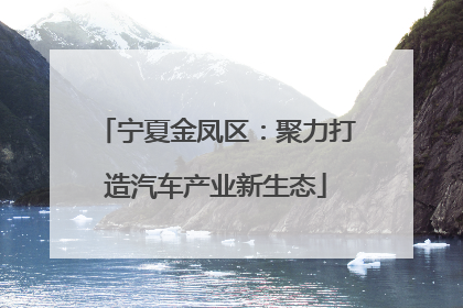 宁夏金凤区：聚力打造汽车产业新生态