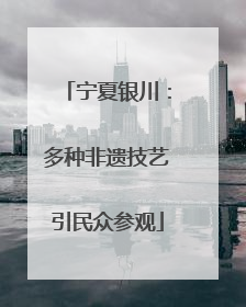 宁夏银川：多种非遗技艺引民众参观