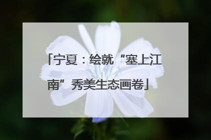 宁夏：绘就“塞上江南”秀美生态画卷