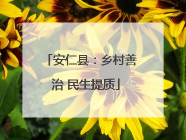 安仁县：乡村善治 民生提质