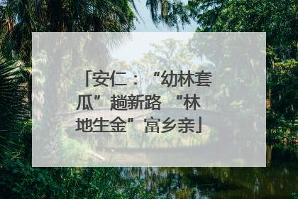 安仁：“幼林套瓜”趟新路 “林地生金”富乡亲