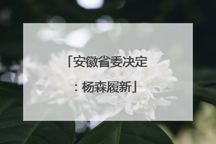 安徽省委决定：杨森履新