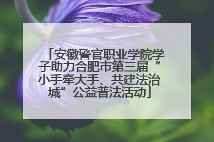 安徽警官职业学院学子助力合肥市第三届“小手牵大手、共建法治城”公益普法活动