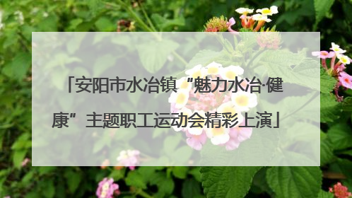 安阳市水冶镇“魅力水冶·健康”主题职工运动会精彩上演