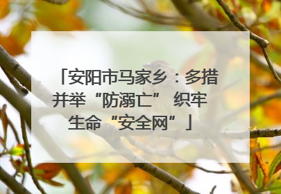 安阳市马家乡：多措并举“防溺亡” 织牢生命“安全网”
