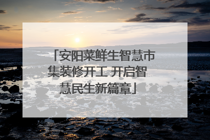 安阳菜鲜生智慧市集装修开工 开启智慧民生新篇章