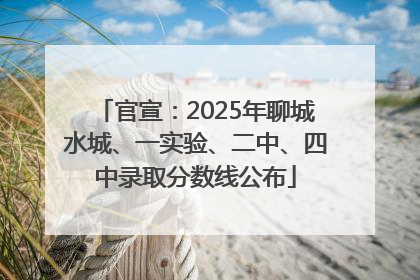 官宣：2025年聊城水城、一实验、二中、四中录取分数线公布
