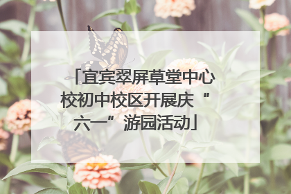 宜宾翠屏草堂中心校初中校区开展庆“六一”游园活动