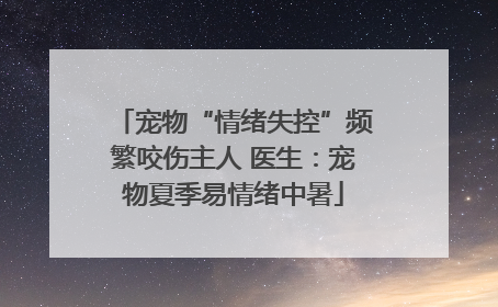 宠物“情绪失控”频繁咬伤主人 医生：宠物夏季易情绪中暑