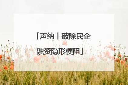 声纳丨破除民企融资隐形梗阻