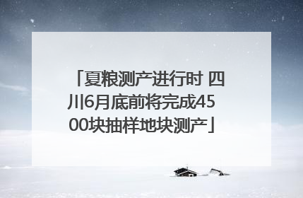 夏粮测产进行时 四川6月底前将完成4500块抽样地块测产