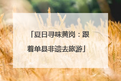夏日寻味黄岗：跟着单县非遗去旅游