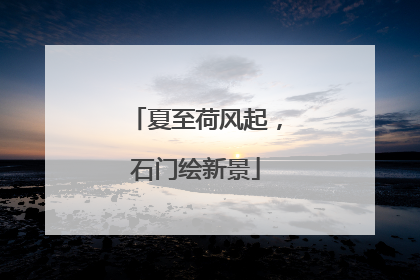 夏至荷风起，石门绘新景