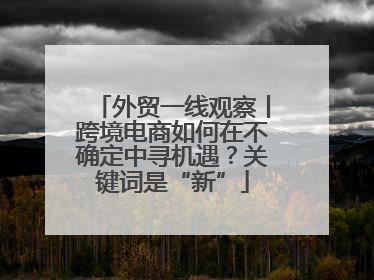 外贸一线观察丨跨境电商如何在不确定中寻机遇？关键词是“新”