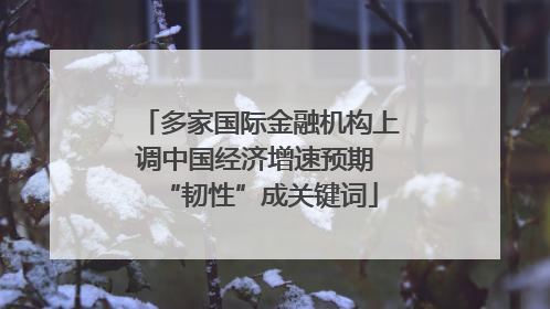 多家国际金融机构上调中国经济增速预期 “韧性”成关键词