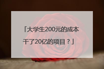 大学生200元的成本干了20亿的项目？