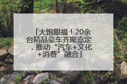 大饱眼福！20余台精品豪车齐聚嘉定，推动“汽车+文化+消费”融合