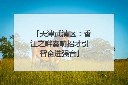 天津武清区：香江之畔奏响招才引智奋进强音