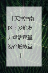 天津津南区：多维发力盘活存量资产增效益