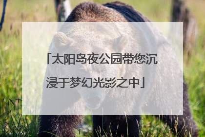 太阳岛夜公园带您沉浸于梦幻光影之中