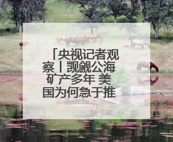 央视记者观察丨觊觎公海矿产多年 美国为何急于推动开采？