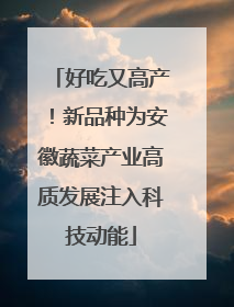 好吃又高产！新品种为安徽蔬菜产业高质发展注入科技动能